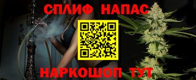 амф Обь