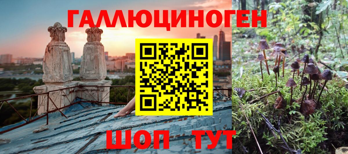 Галлюциногенные грибы Углич