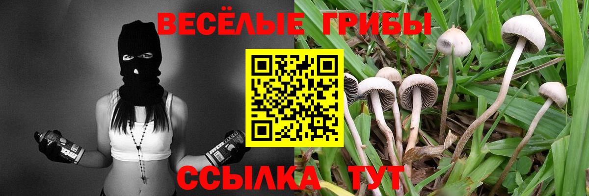 Псилоцибиновые грибы прущие грибы  хочу   Углич  Вход с VPN 